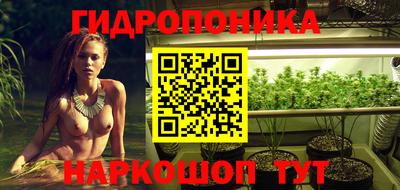 гидропоника Ижевск