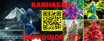 гашик Каменск-Шахтинский