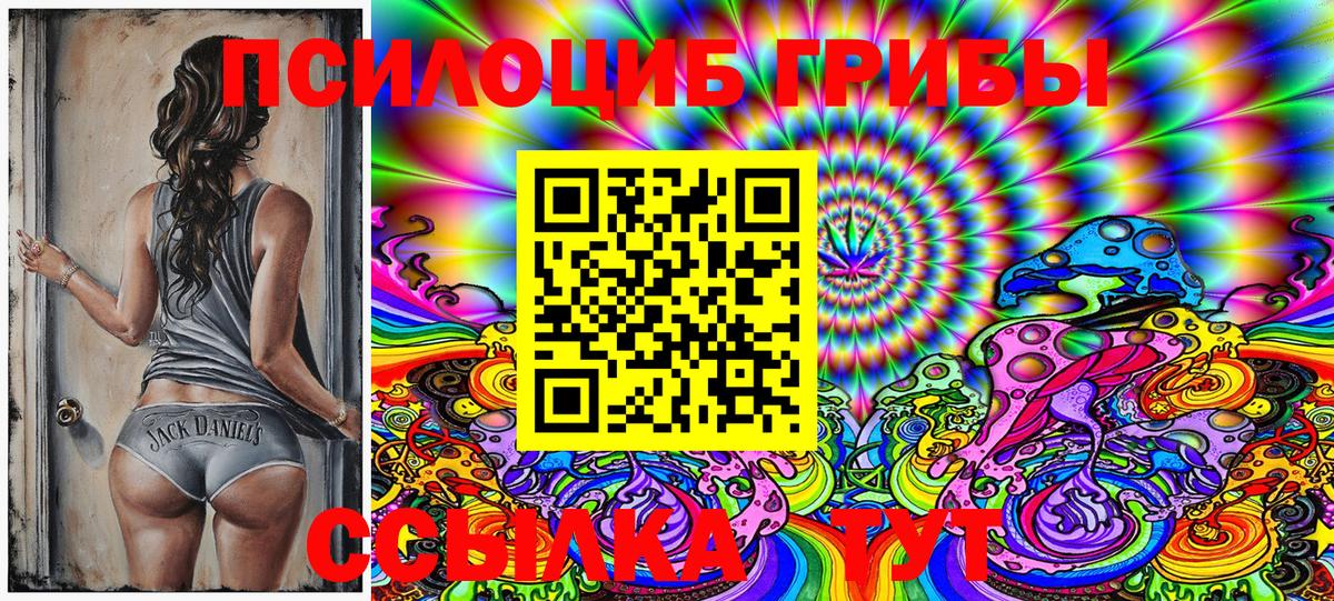 Надым  Псилоцибиновые грибы Cubensis  Псилоцибиновые грибы Psilocybine cubensis  Вход с VPN 